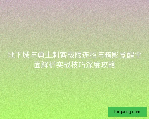 地下城与勇士刺客极限连招与暗影觉醒全面解析实战技巧深度攻略