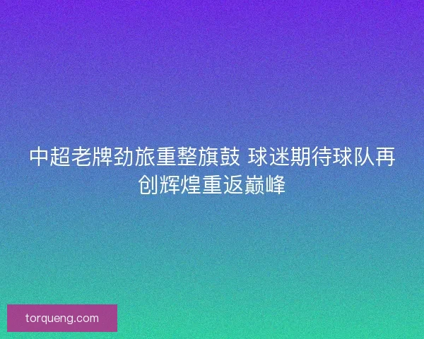 中超老牌劲旅重整旗鼓 球迷期待球队再创辉煌重返巅峰