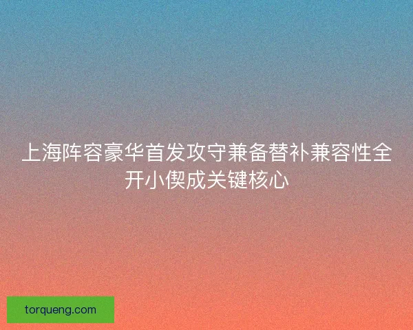 上海阵容豪华首发攻守兼备替补兼容性全开小偰成关键核心